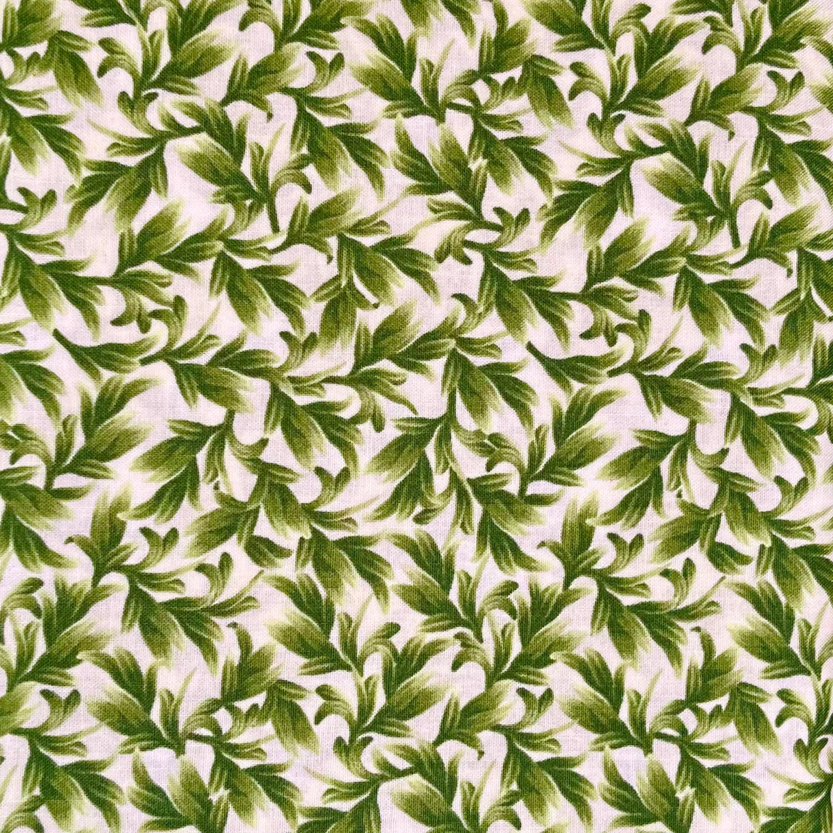 Orchid Leaves Cream Wild Orchid Fabric by Timeless Treasures Fabric C5648