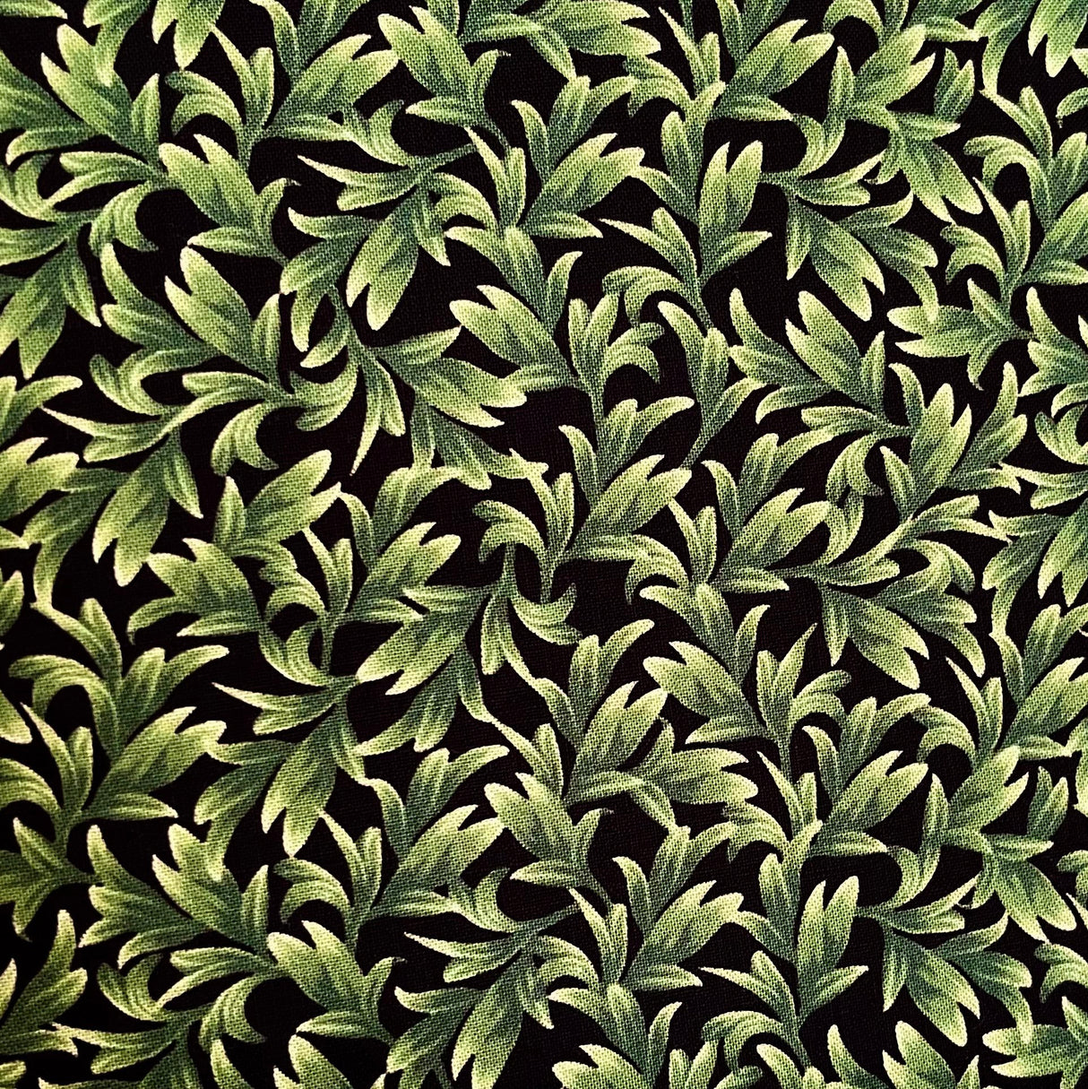 Orchid Leaves Black Wild Orchid Fabric 50cm Timeless Treasures Fabric C5648-B