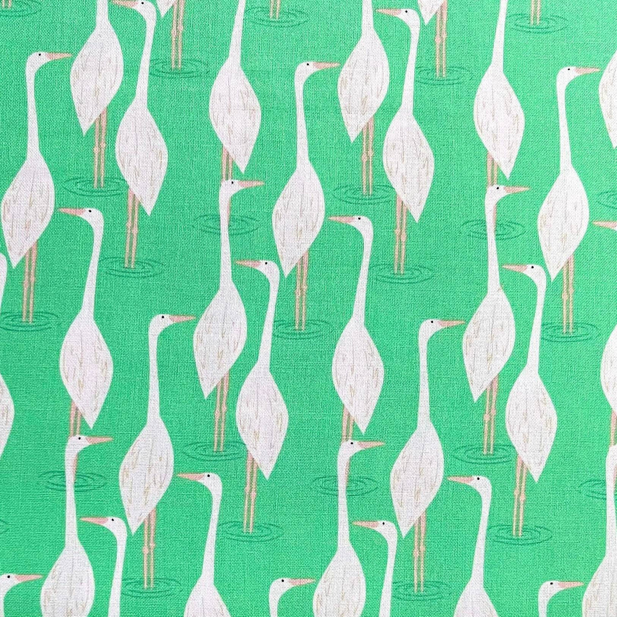 Egret, Bird fabric, Everglades Fabric, Cotton, Quilting Fabric, Michael Miller MM-DC7809.lily