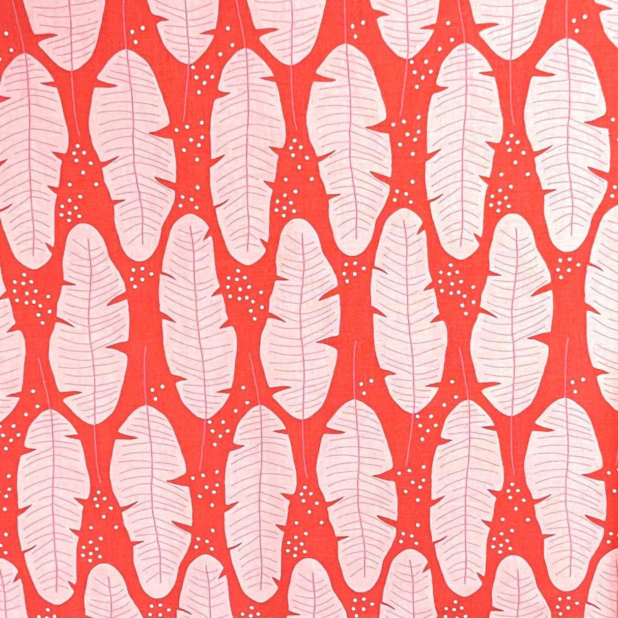 Everglades Fabric, Feathers Float, Cotton Quilting Fabric, Coral by Michael Miller MM-DC7811.Cora