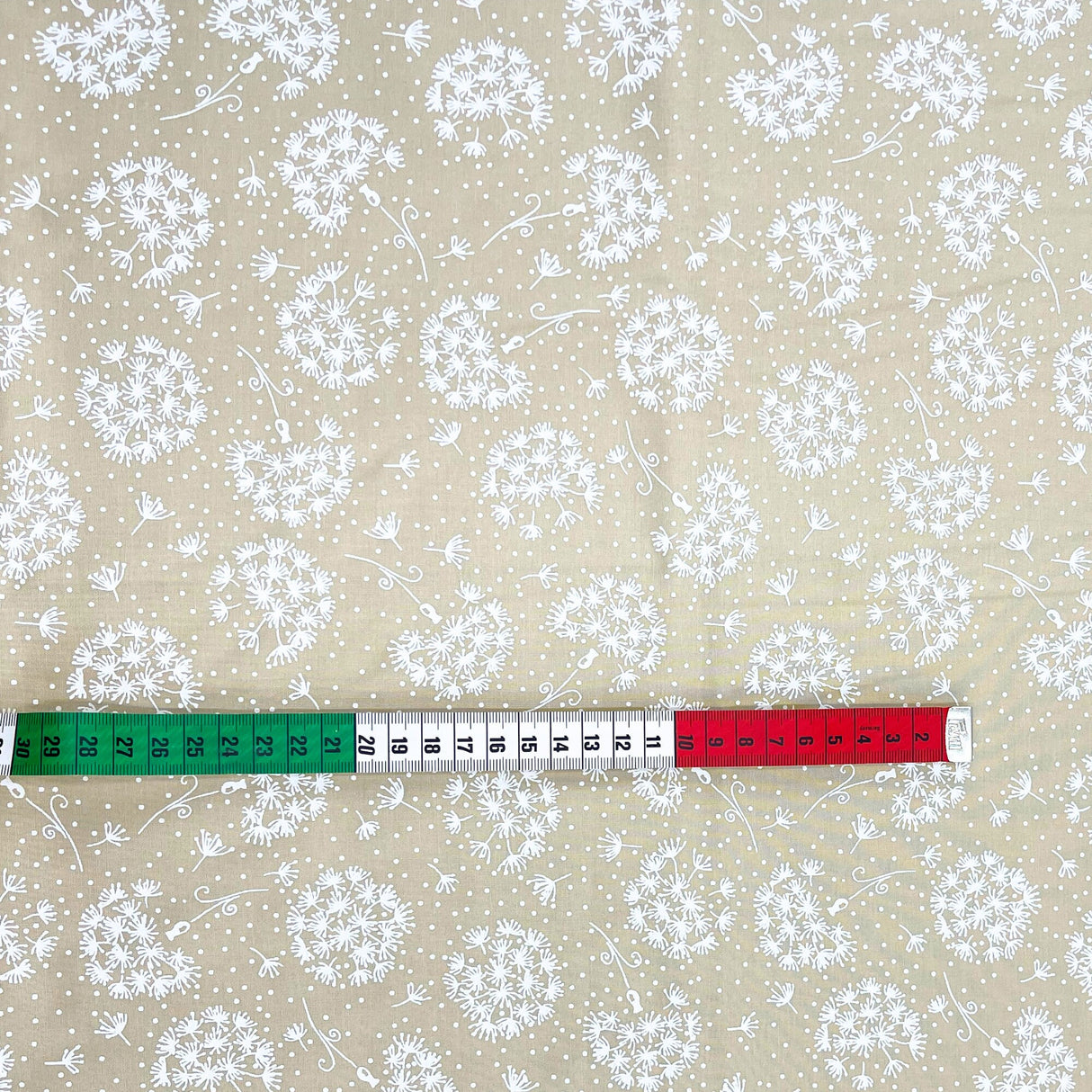 green, white and red measuring tape showing size of Dandelions