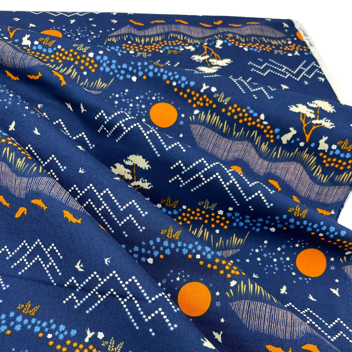 red sun against a blueberry background