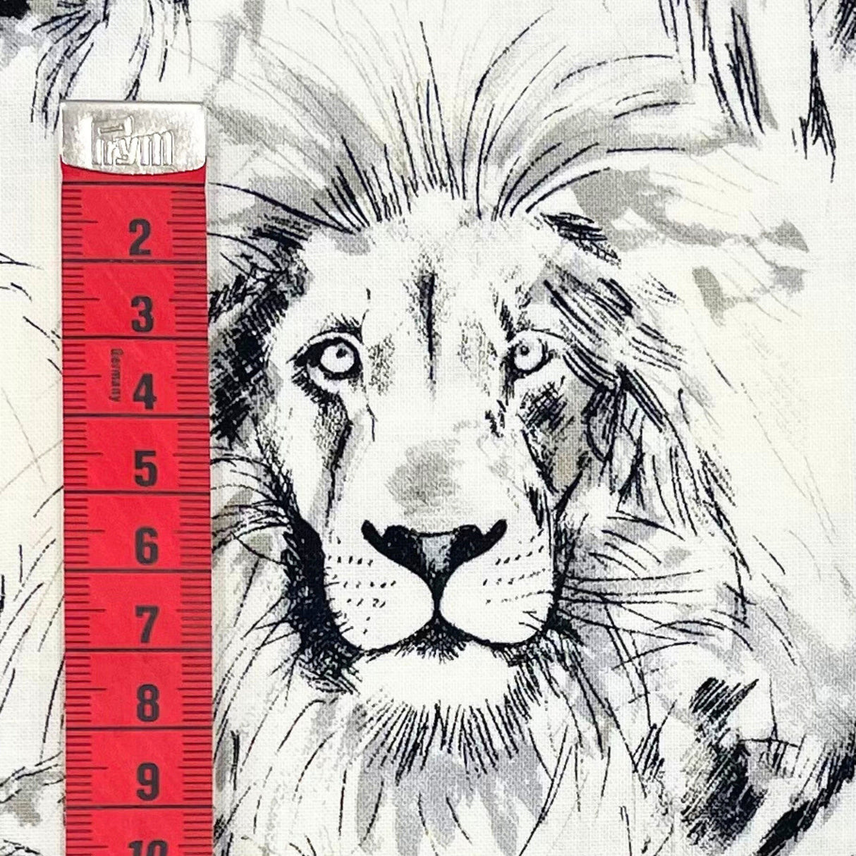 Roarrr Lion Fabric by Michael Miller | Charcoal Sketch on Cream | MM-CX7015.Crem