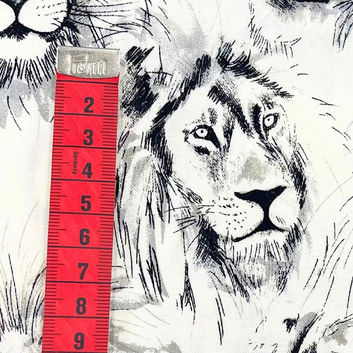 Roarrr Lion Fabric by Michael Miller | Charcoal Sketch on Cream | MM-CX7015.Crem