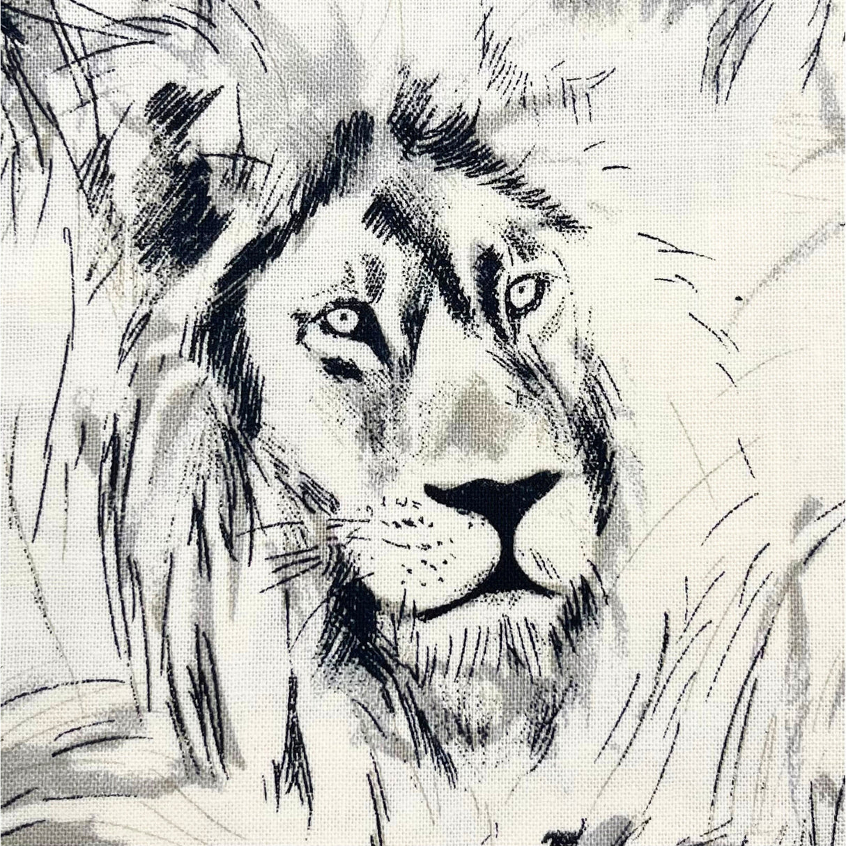 Roarrr Lion Fabric by Michael Miller | Charcoal Sketch on Cream | MM-CX7015.Crem