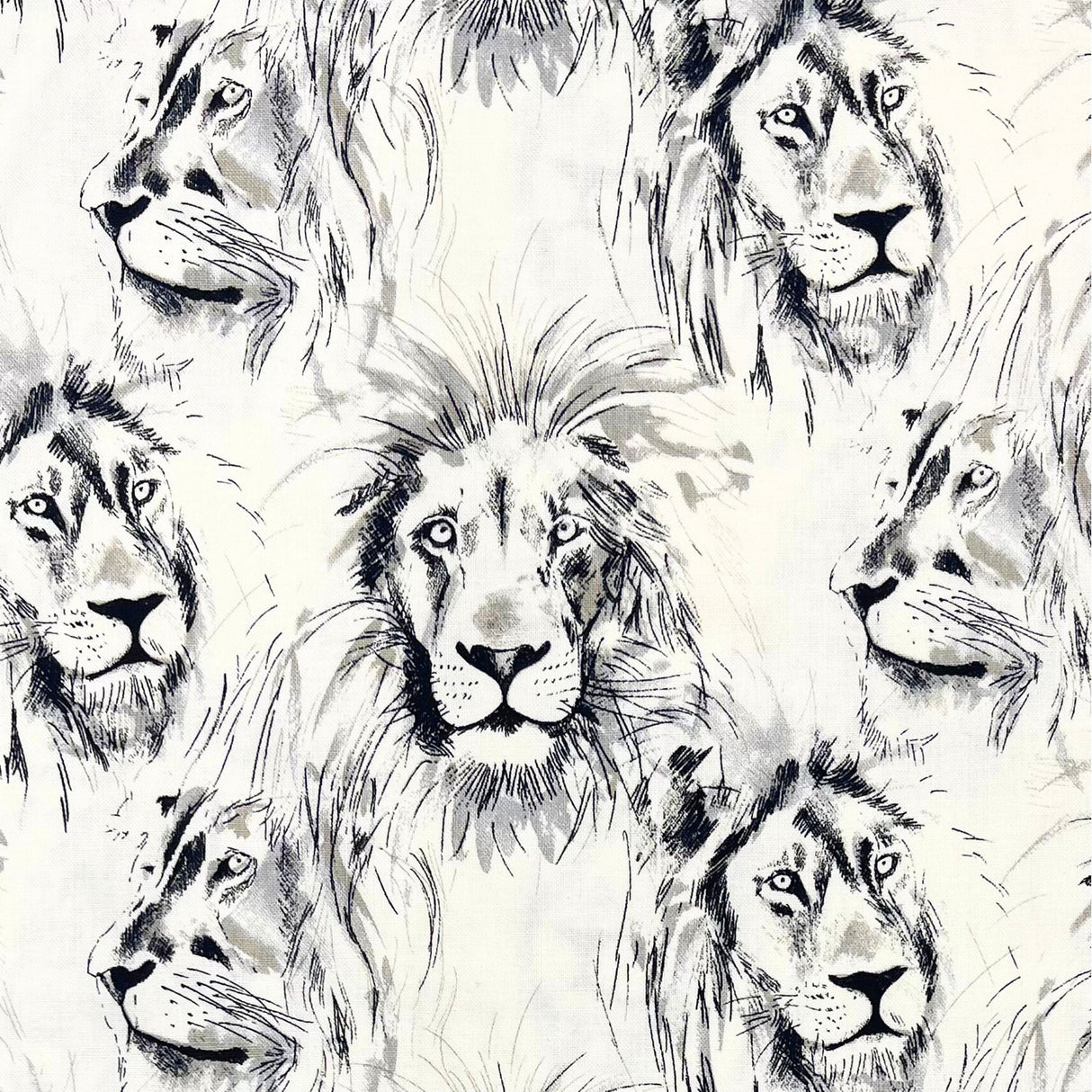 Roarrr Lion Fabric by Michael Miller | Charcoal Sketch on Cream | MM-CX7015.Crem