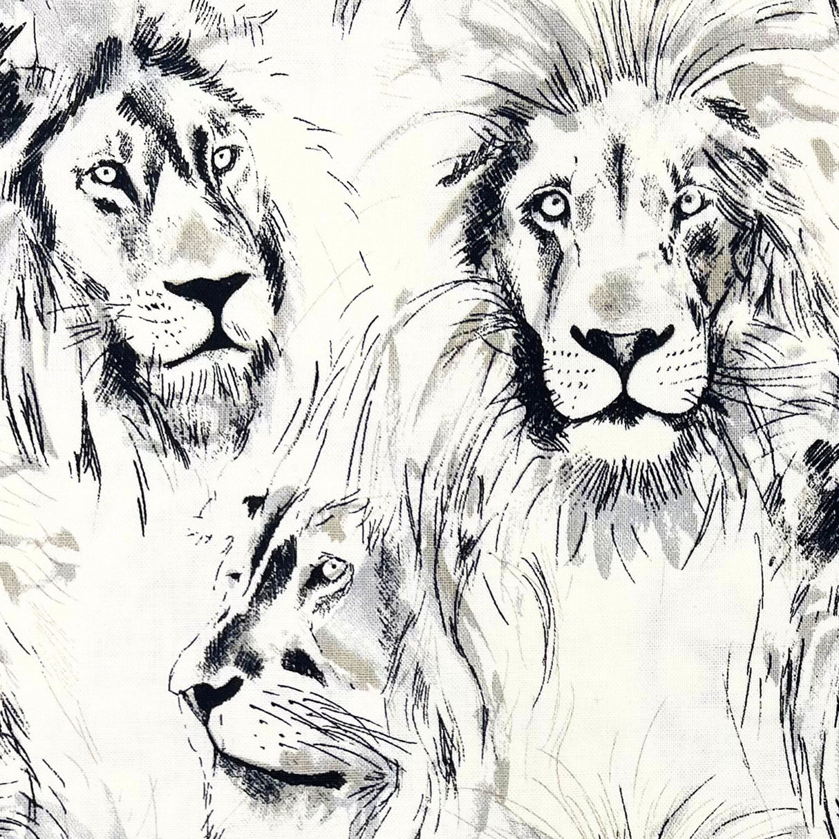 Roarrr Lion Fabric by Michael Miller | Charcoal Sketch on Cream | MM-CX7015.Crem