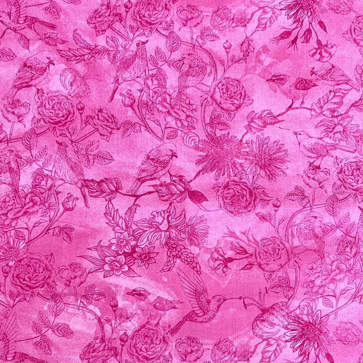 Toile Bird fabric, Petal Pink, Wild Orchid Fabric by Timeless Treasures Fabric C5551