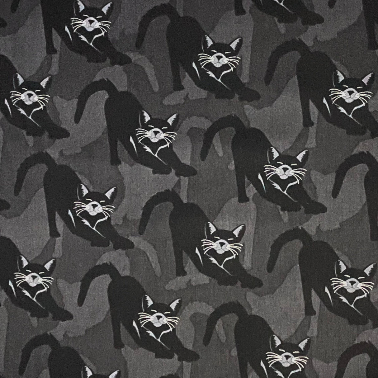 Cats Fabric Gothic Glam Black Cats Halloween Fabric Benartex 4936M-11