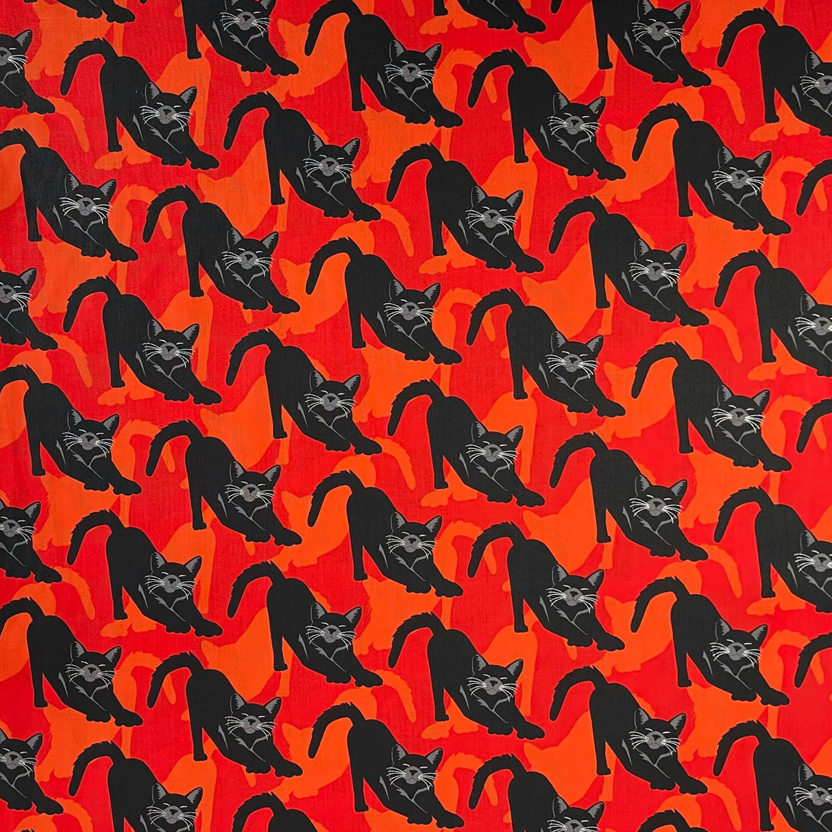 Black Cats Orange fabric Bewitched Gothic Glam Fabric Benartex CM4936-28