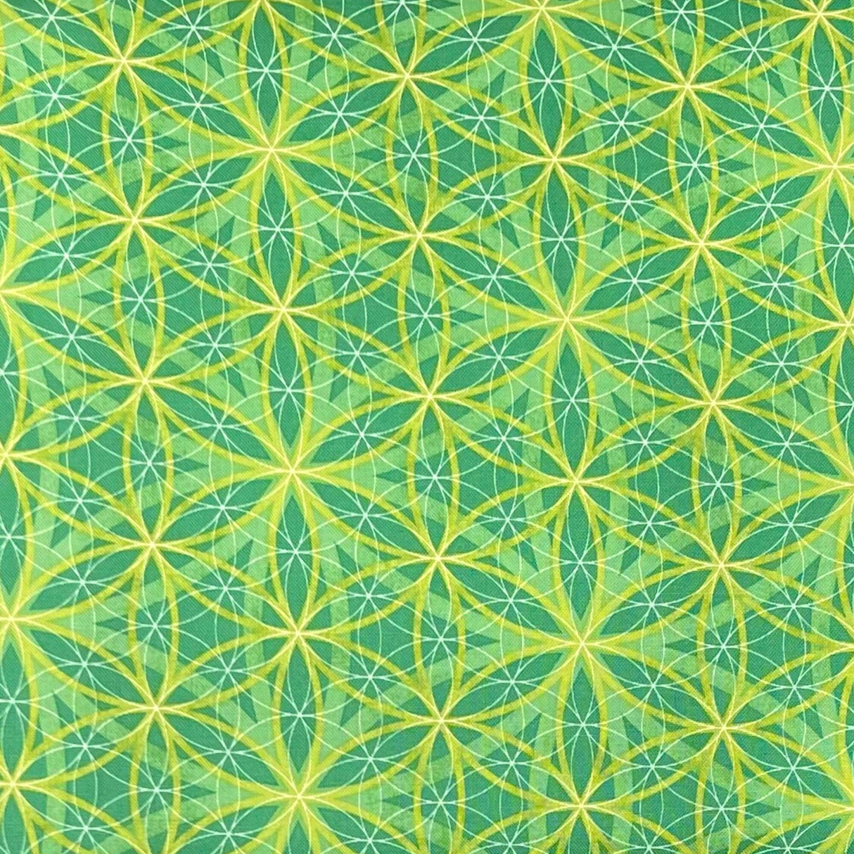 Lime Geometric fabric Circle cotton quilting fabric Enjoy the Ride Studio E