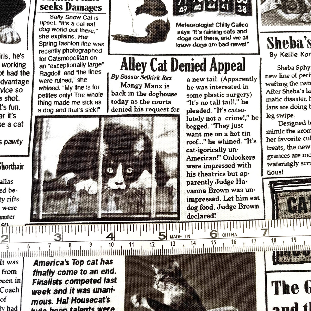 Cat Newspaper fabric 60cm The Kitty Chronicle White Timeless Treasures C1200White