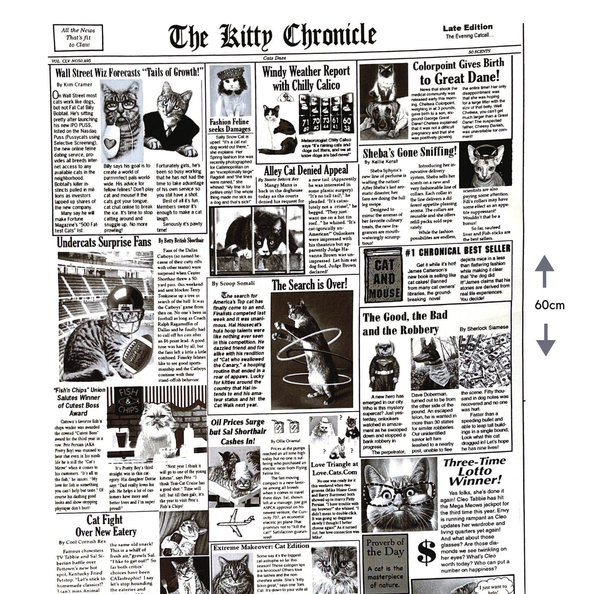 Cat fabric Newspaper 60cm The Kitty Chronicle White Timeless Treasures C1200White