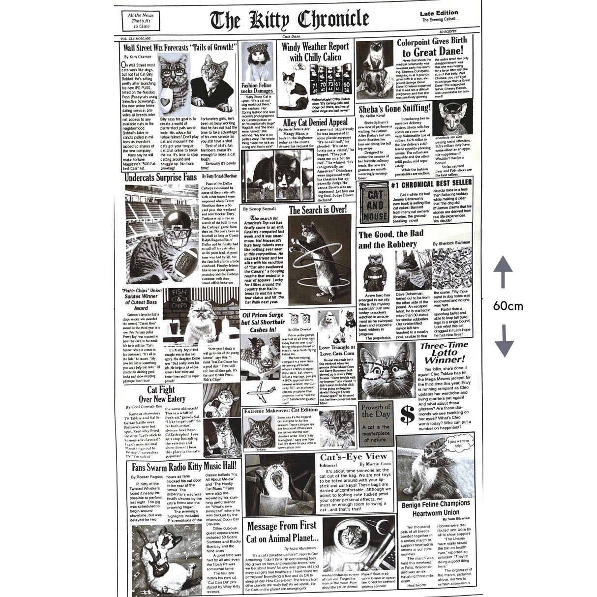 Cat fabric Newspaper 60cm The Kitty Chronicle White Timeless Treasures C1200White