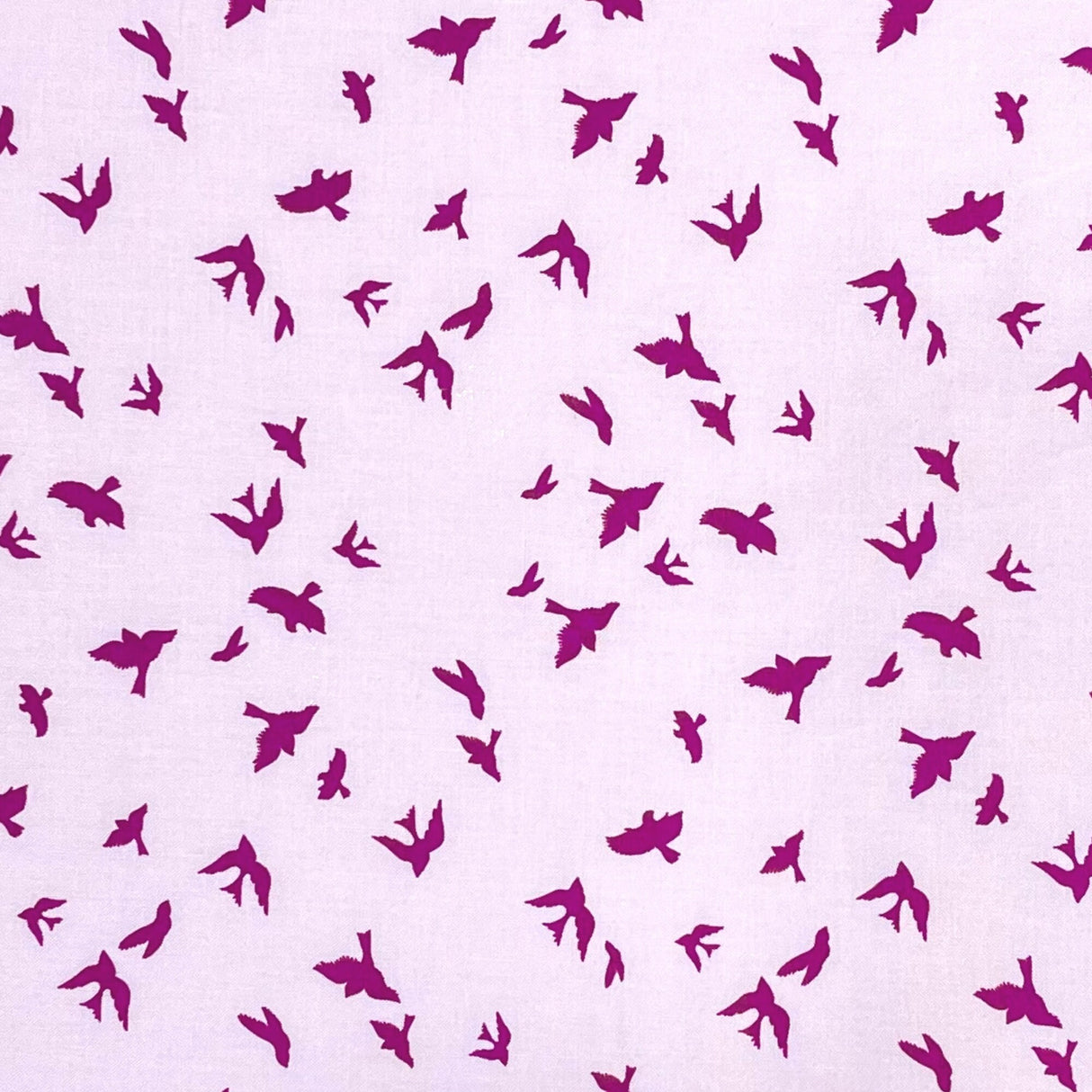 Flight fabric in Iris Birds Brambleberry Ridge Violet Craft Michael Miller fabric DC6136-Iris