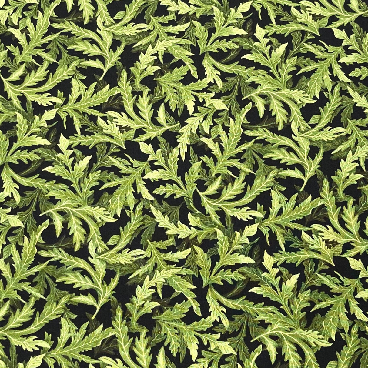 Poppy Leaves, Green Black Fabric by Timeless Treasures Fabric C5839