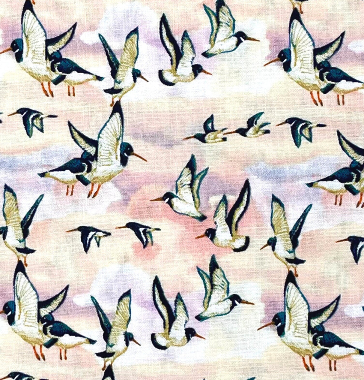 Oyster Catchers Fabric, Beach treasures, Quilting, Craft Cotton, 50cm by FreeSpirit