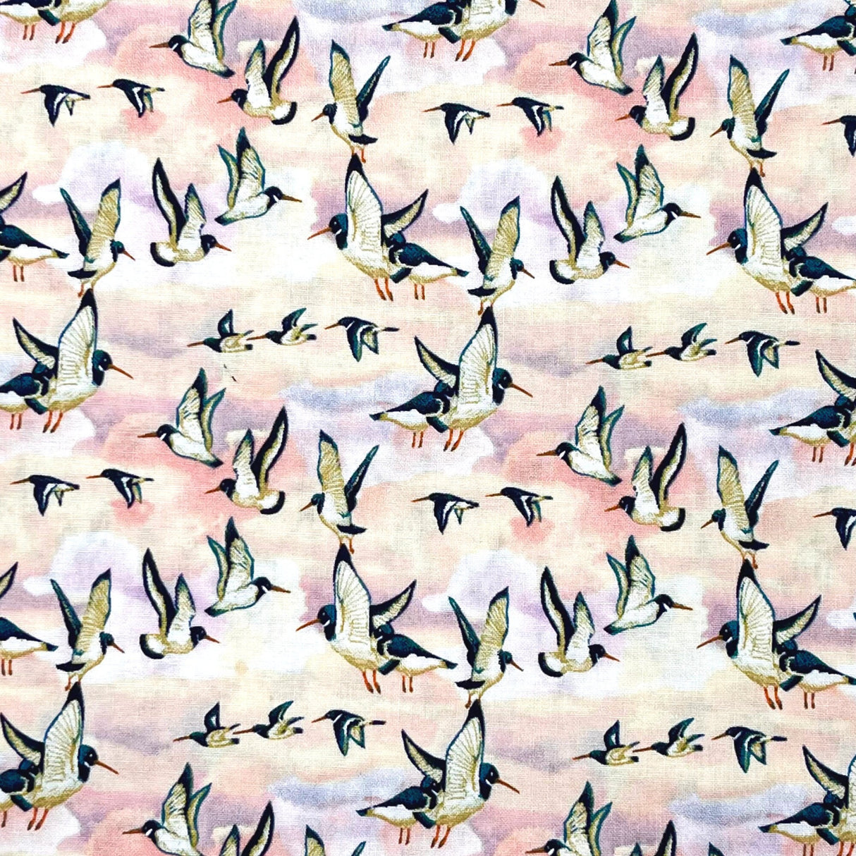 Oyster Catchers Fabric, Beach treasures, Quilting, Craft Cotton, 50cm by FreeSpirit