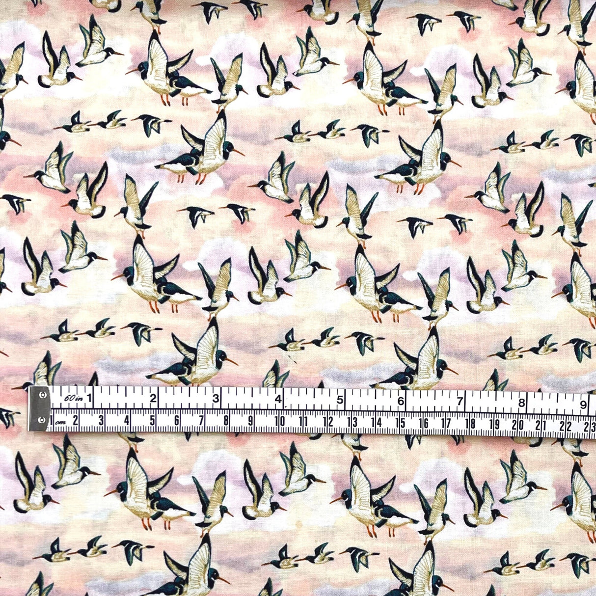 Oyster Catchers Fabric, Beach treasures, Quilting, Craft Cotton, 50cm by FreeSpirit