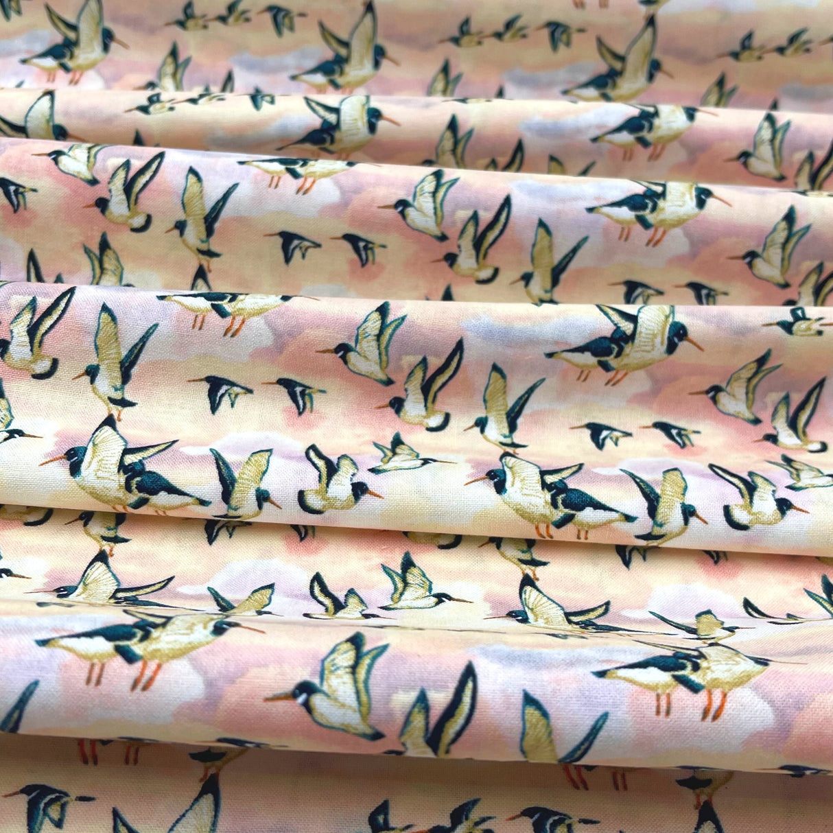 Oyster Catchers Fabric, Beach treasures, Quilting, Craft Cotton, 50cm by FreeSpirit