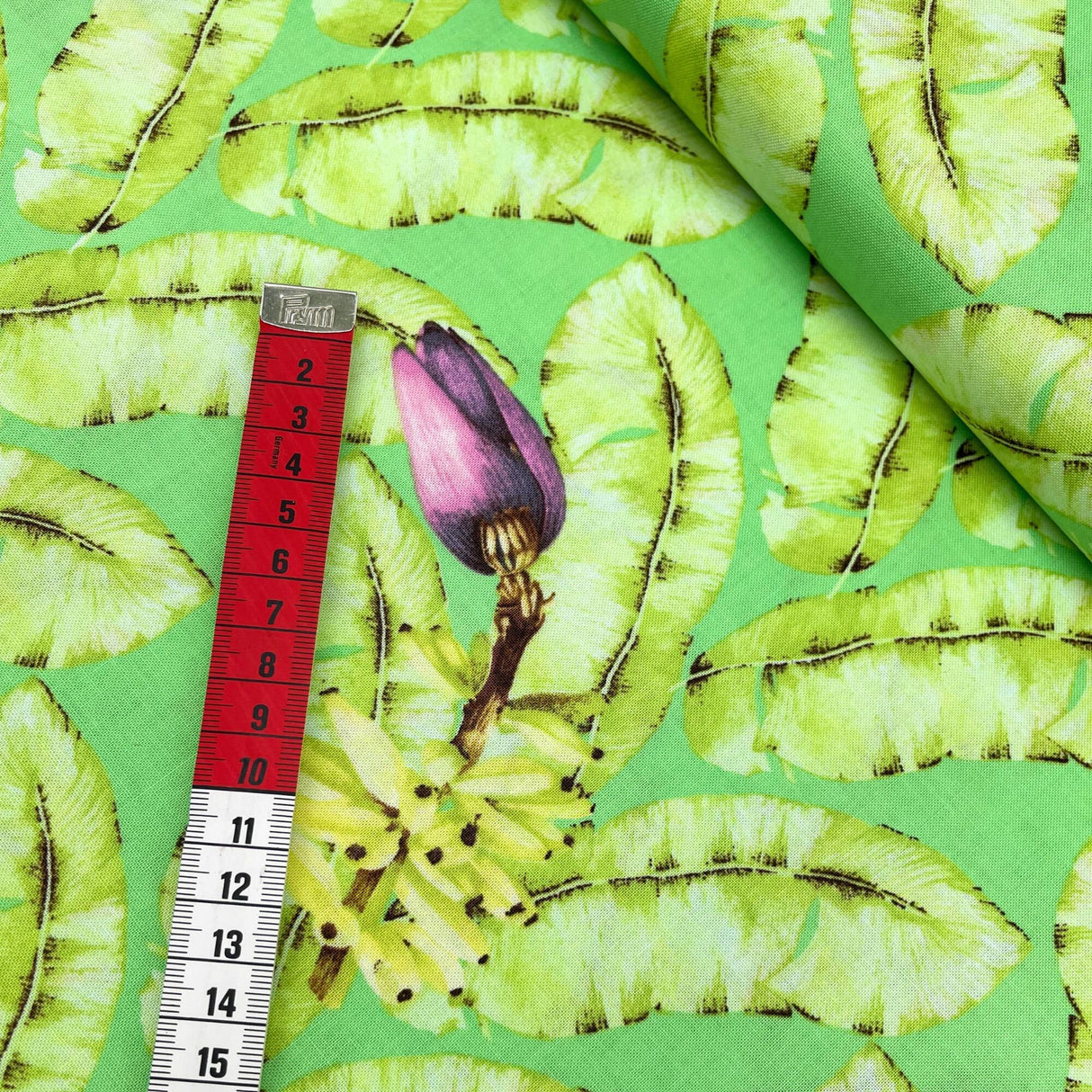 Measuring tape showing Green Banana and flower