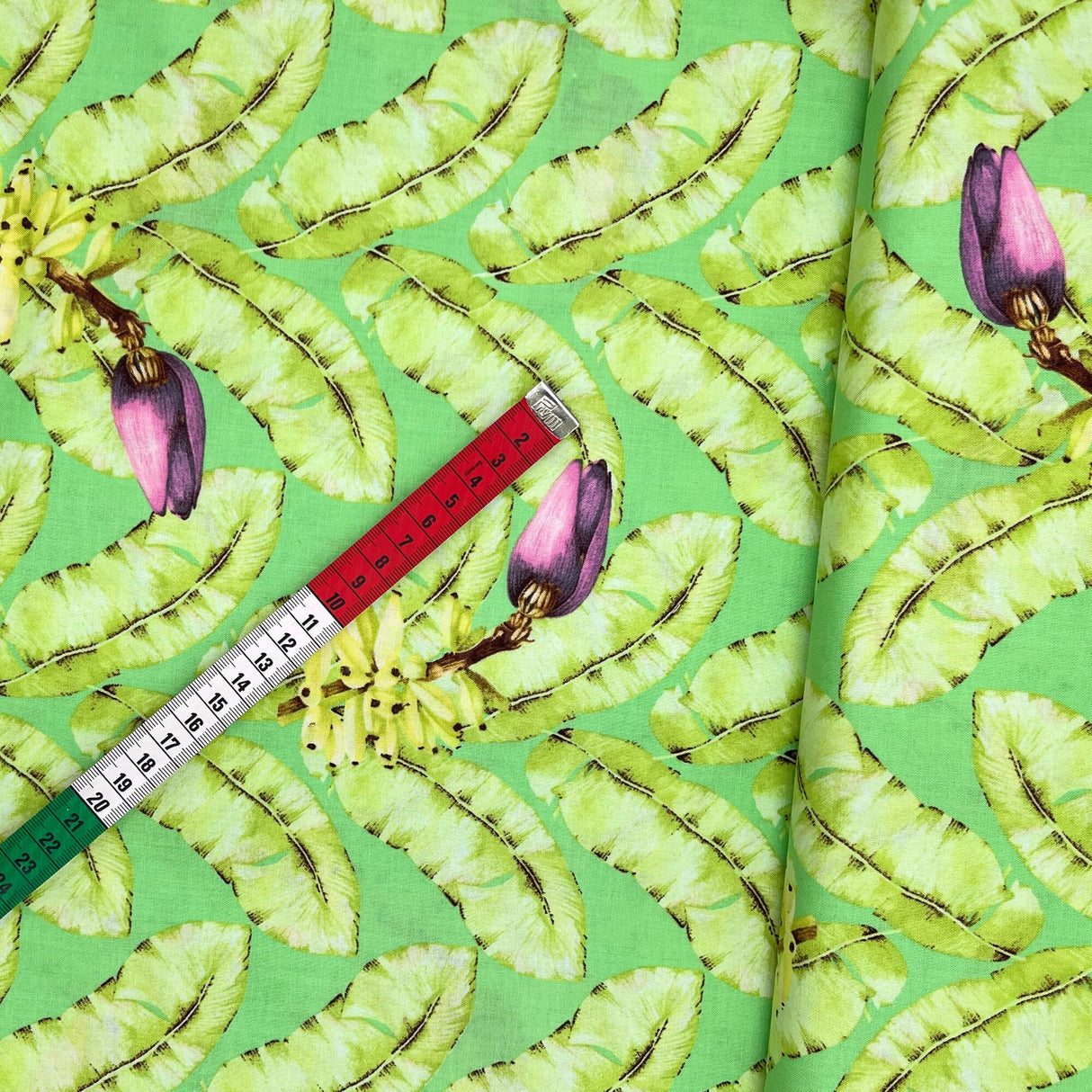 Banana Tree, Cotton Quilting Fabric, Banyan tree, fruit trees by FreeSpirit PWMB022