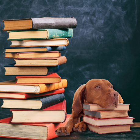 Books * Booklets * Magazines