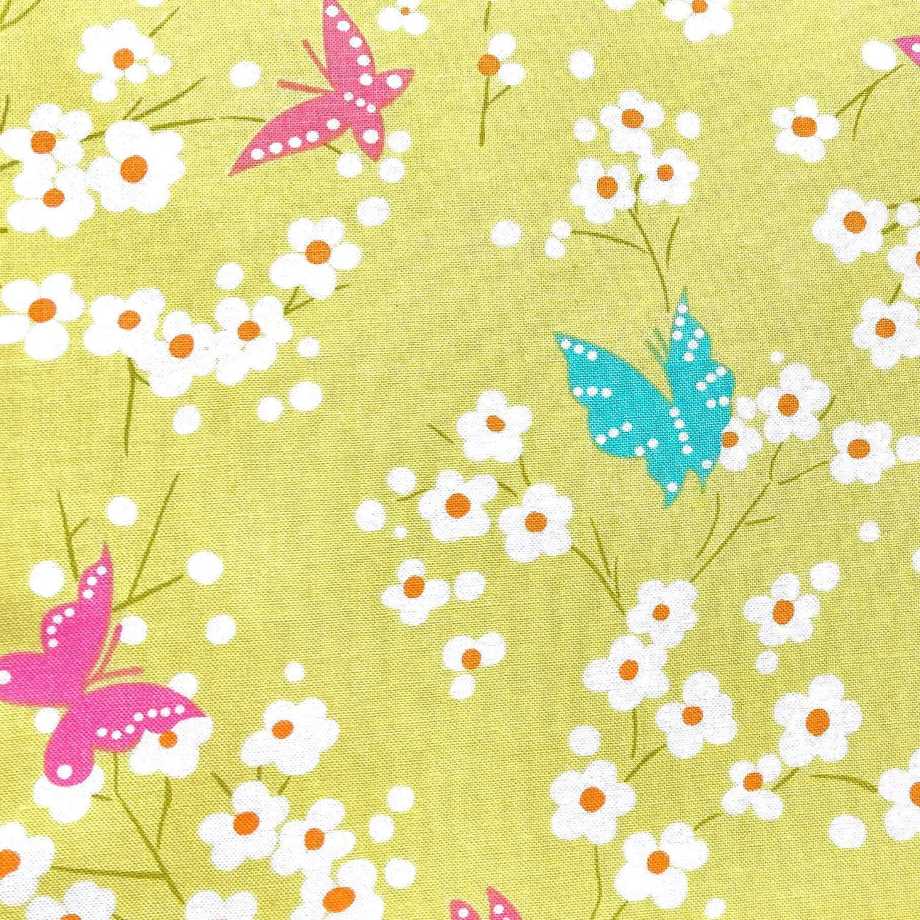 Birds, Bugs & Insects