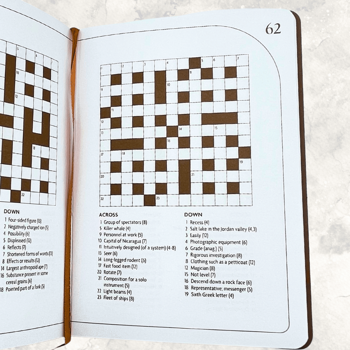Open crossword puzzle book displaying crossword grids and word clues on the inside pages