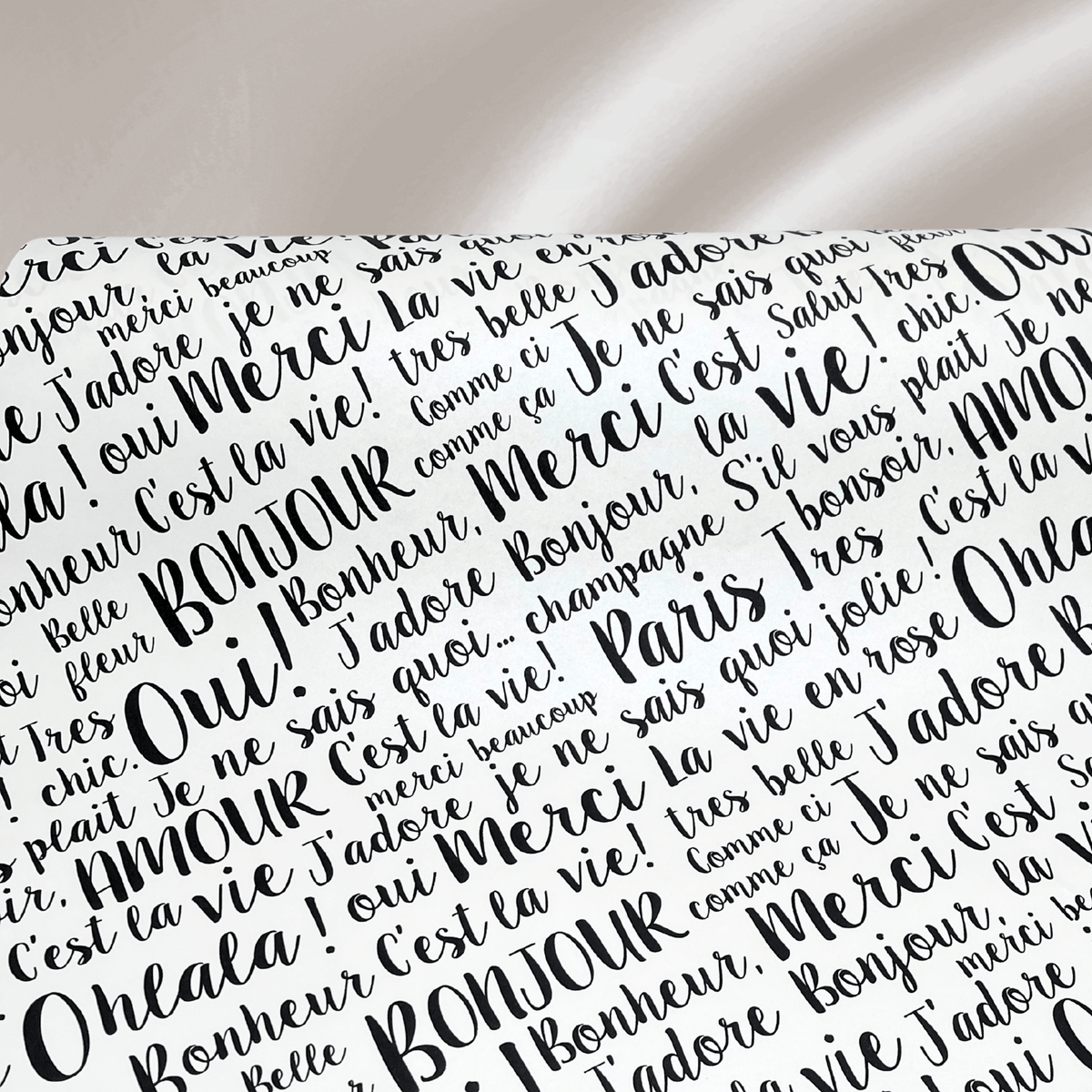 Paris Luxury Pearlised Gift Wrapping Paper – Black & White