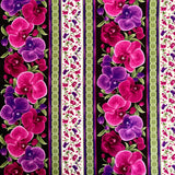 Orchid Border Magenta fabric by Timeless Treasures C3210