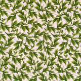 Orchid Leaves Cream Wild Orchid Fabric by Timeless Treasures Fabric C5648