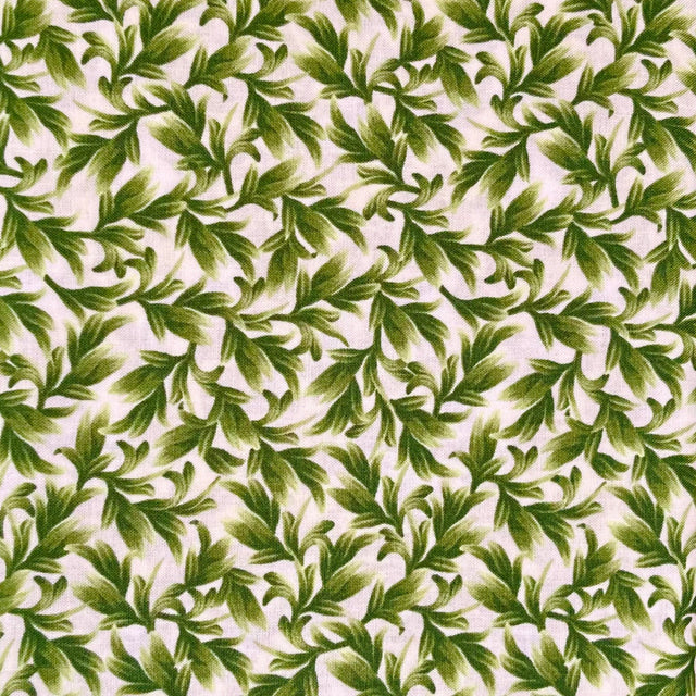 Orchid Leaves Cream Wild Orchid Fabric by Timeless Treasures Fabric C5648