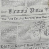 Vintage Newspaper fabric Mist Newsprint Bloomin Times Quilting Cotton fabric DC7820-Mist