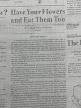 Vintage Newspaper fabric Mist Newsprint Bloomin Times Quilting Cotton fabric DC7820-Mist