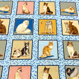 Cats Corner, Animal portraits, Cotton, Quilting, Craft, Cat fabric NT-DRS87280.1
