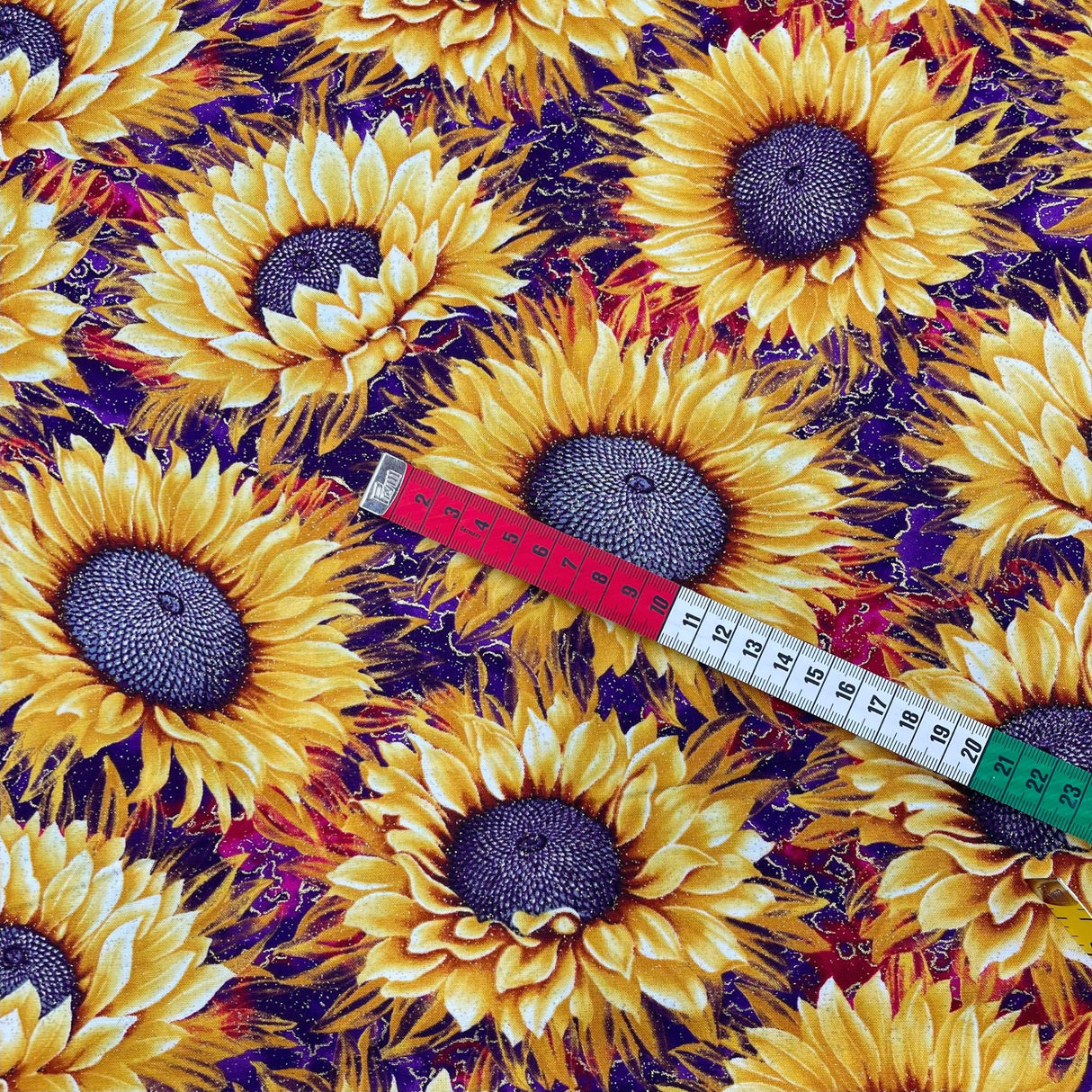 tape measure showing Sunflowers size