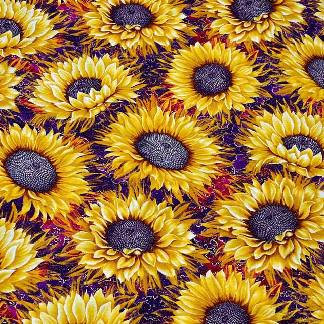 Here comes the Sun, Floral Sunflower fabric, Cotton Quilting, Benartex BT2970M.66