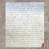 Christmas Words, 12 Days of Christmas, Fawn Gift Wrapping Paper - 60cm Wide