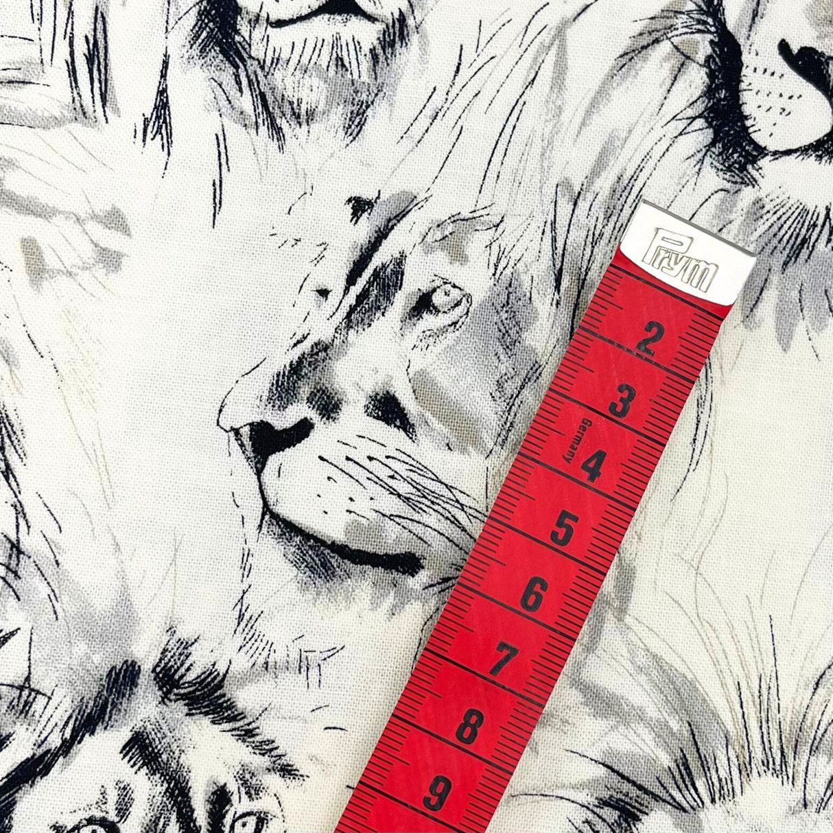Roarrr Lion Fabric by Michael Miller | Charcoal Sketch on Cream | MM-CX7015.Crem