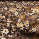 Tailor Brown Floral Fabric – Luxurious Soft Flannel – Timeless Treasures TT.CF7969.Brown