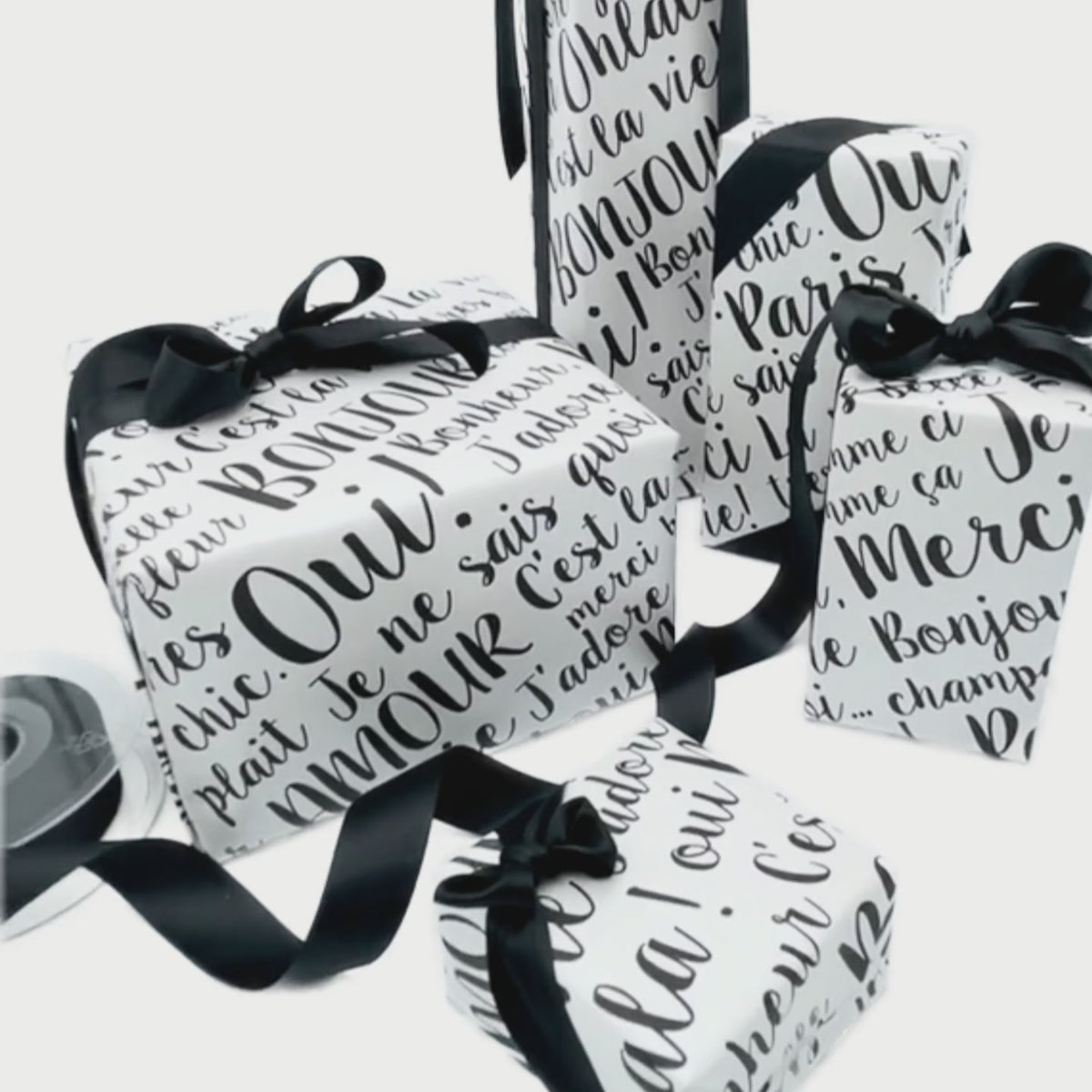 Paris Luxury Pearlised Gift Wrapping Paper – Black & White