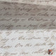 Christmas Words, 12 Days of Christmas, Fawn Gift Wrapping Paper - 60cm Wide