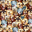 Dog faces Fabric Timeless Treasures Craft Quilting fabric TT-C5314