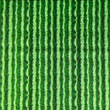 Green Watermelon Skin Fruit Fabric Timeless Treasures Fabric