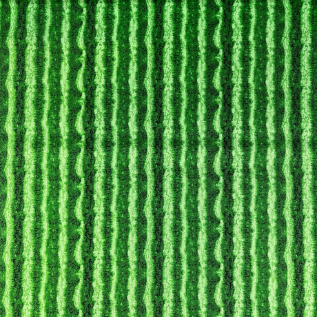 Green Watermelon Skin Fruit Fabric Timeless Treasures Fabric