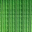 Green Watermelon Skin Fruit Fabric Timeless Treasures Fabric