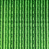 Green Watermelon Skin Fruit Fabric Timeless Treasures Fabric