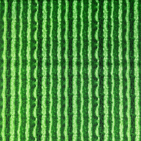 Green Watermelon Skin Fruit Fabric Timeless Treasures Fabric
