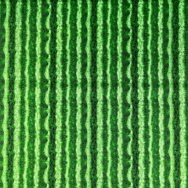 Green Watermelon Skin Fruit Fabric Timeless Treasures Fabric